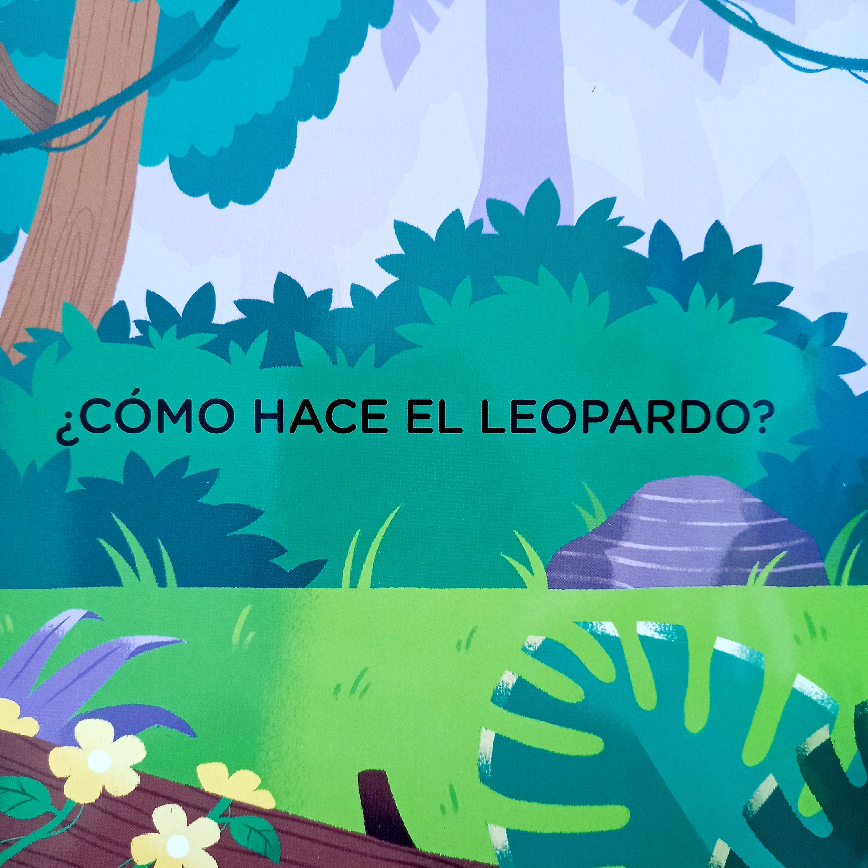 La Selva. Toca y escucha La Selva. Toca y escucha